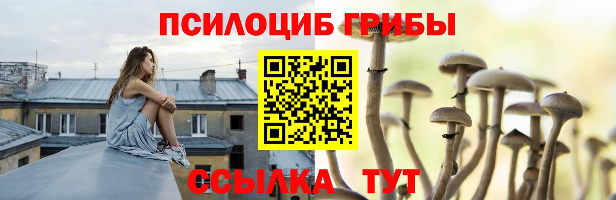 Псилоцибиновые грибы GOLDEN TEACHER Удомля
